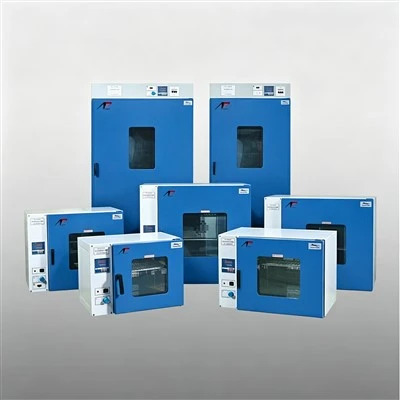 Precision Laboratory Oven